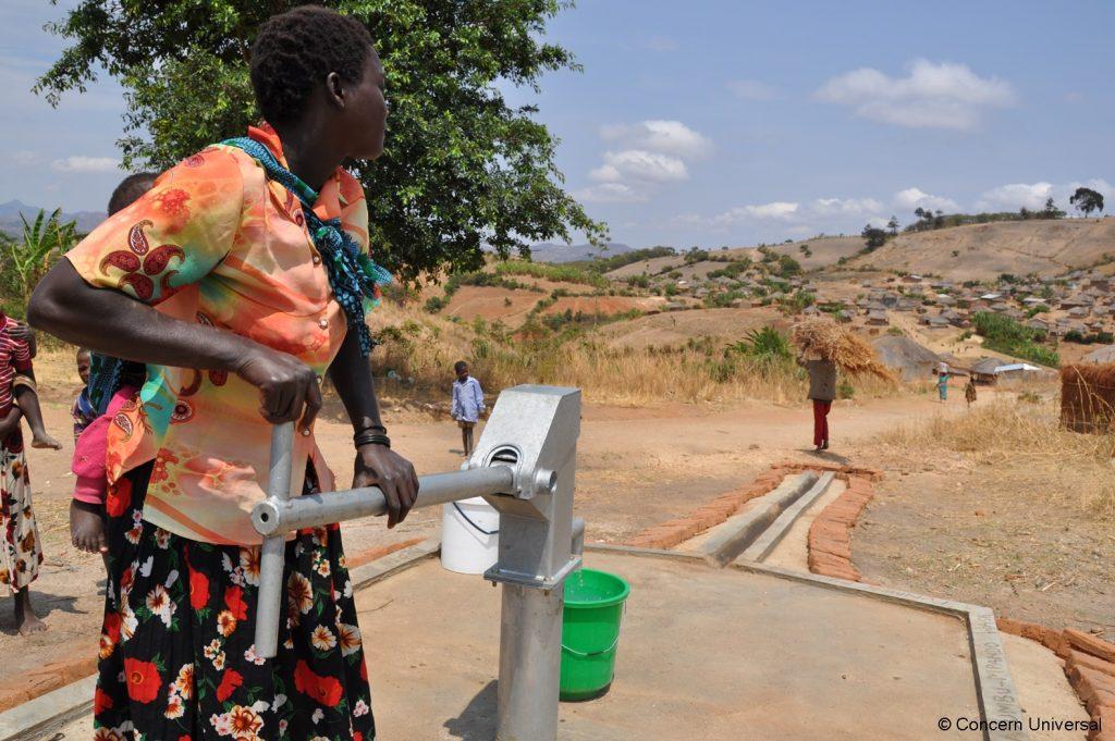 Everything you need to know about carbon offsets