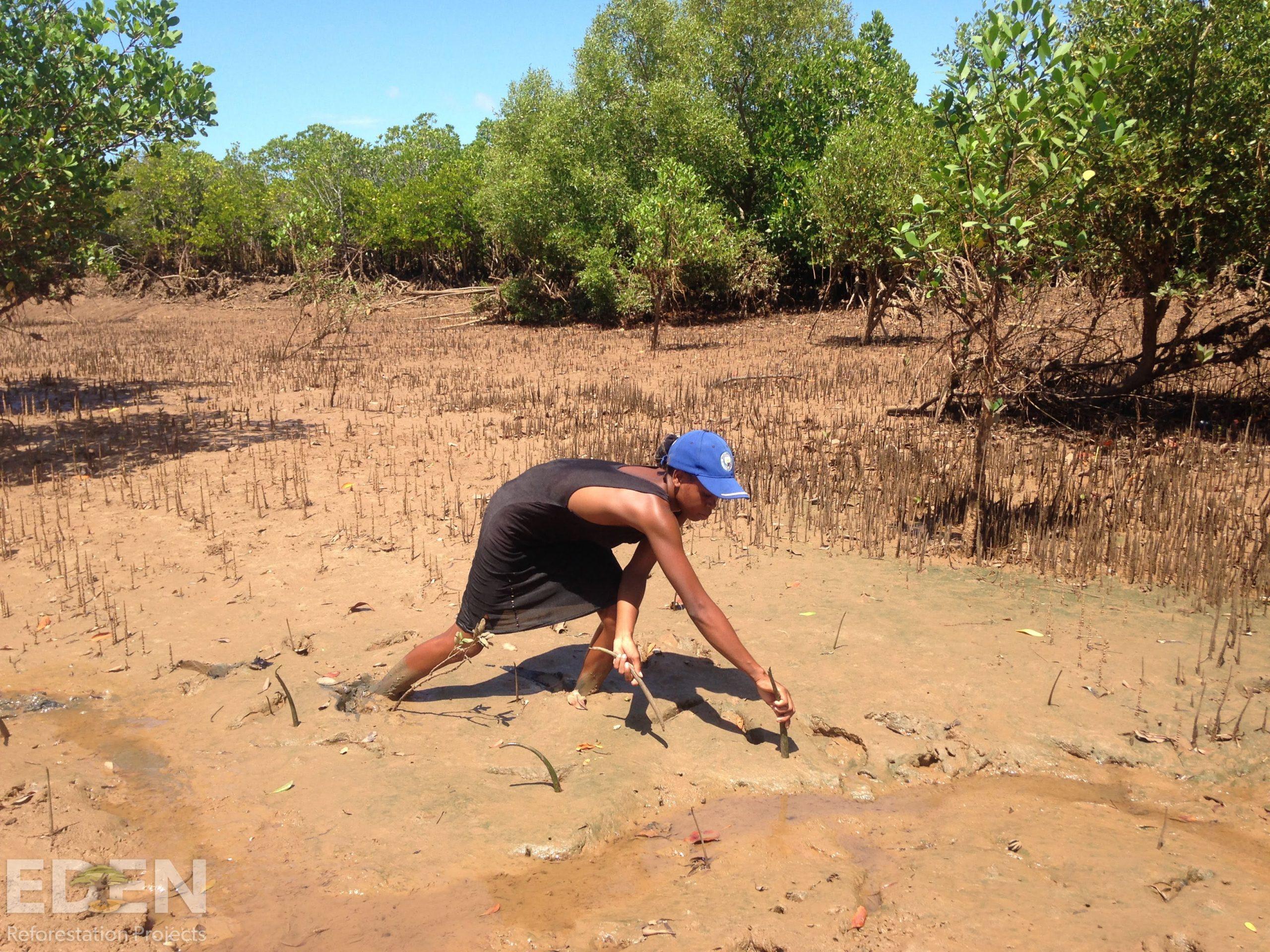 Local tree planter at work.