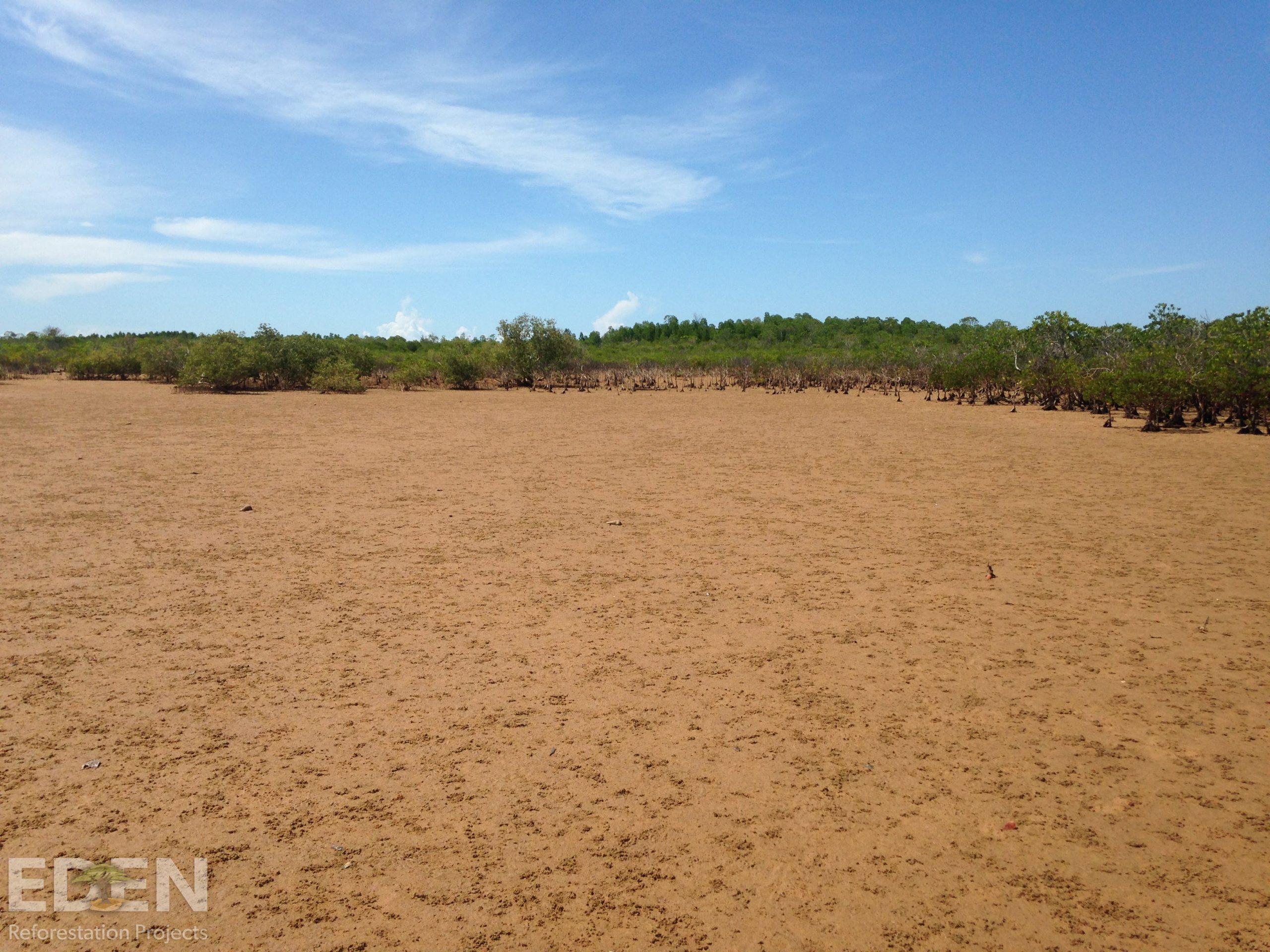 Vast plain of deforested land.