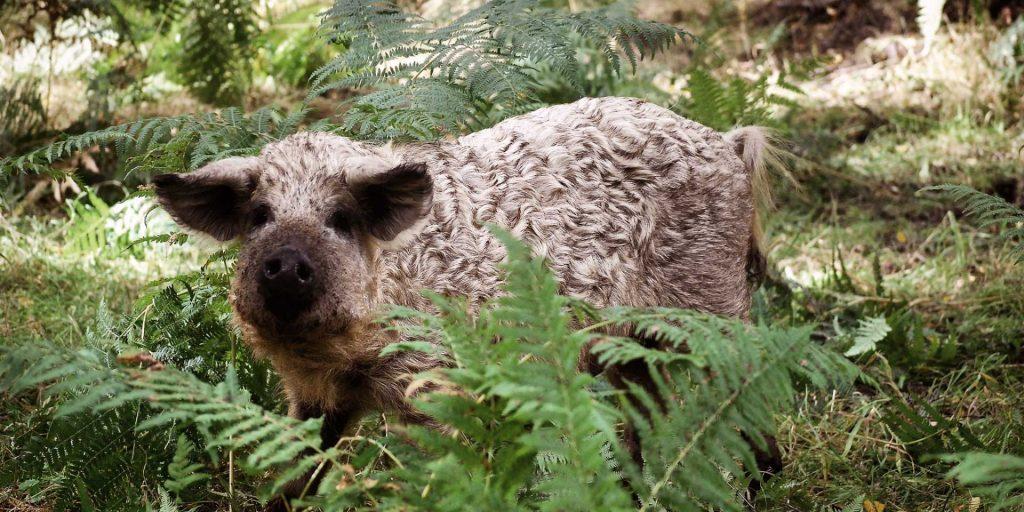 Bringing climate impact closer to home