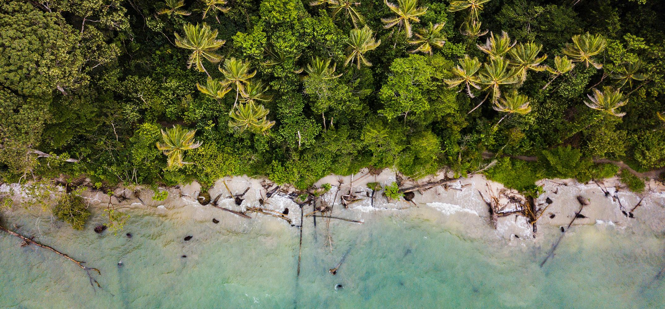 Caribbean shoreline from above