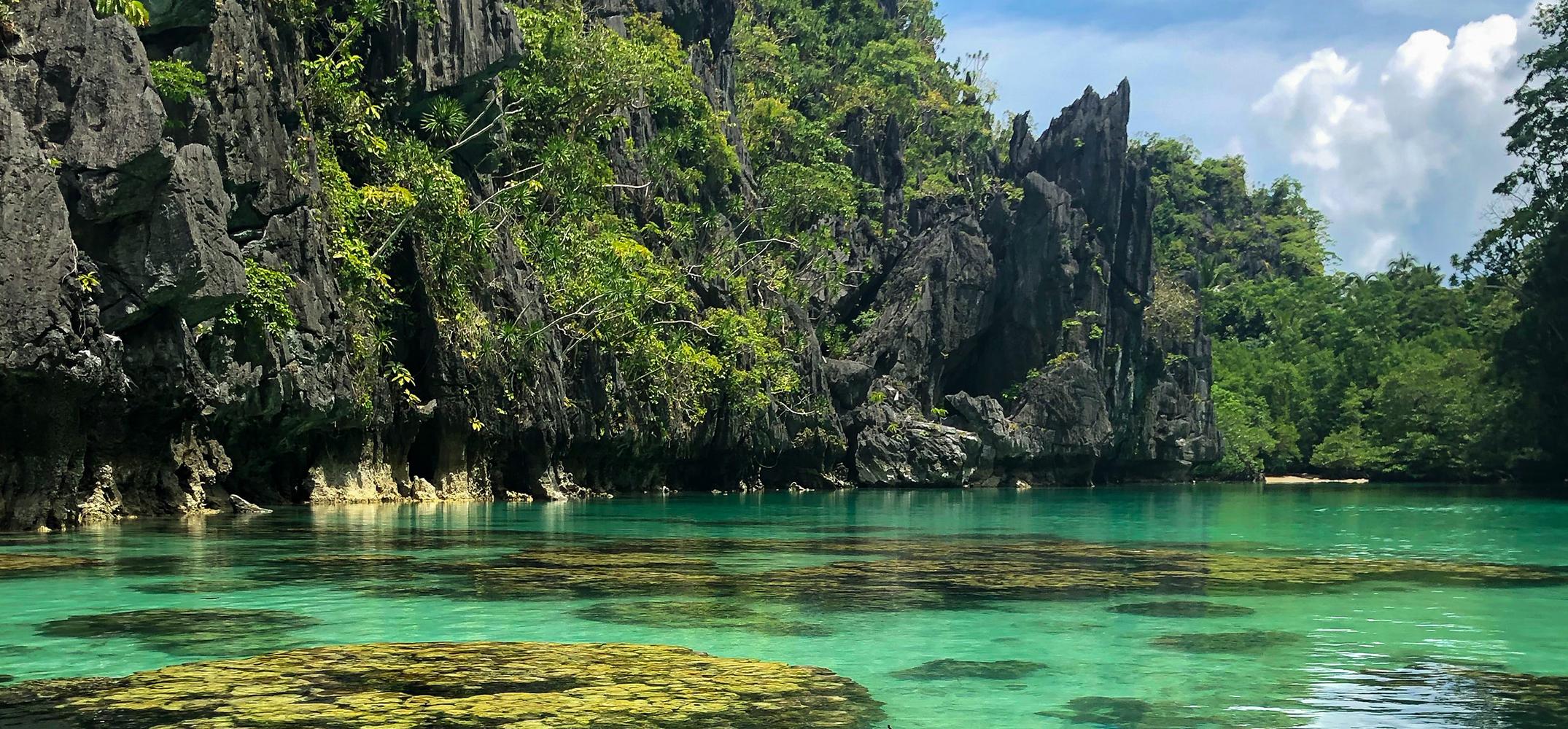 crystal waters at the bottom of tree covered cliffs