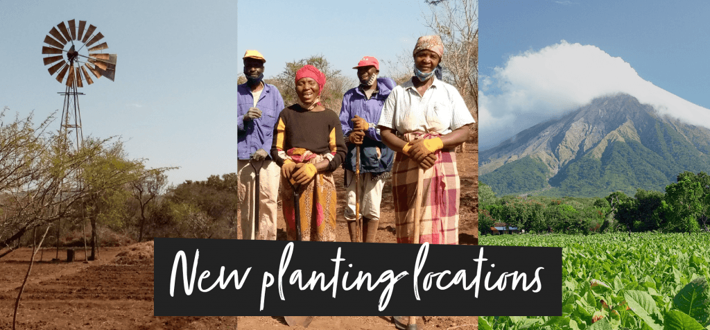 Year 2 of the Ecologi Forests