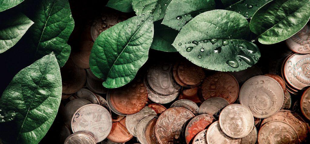 One small step for you, one giant impact for humankind