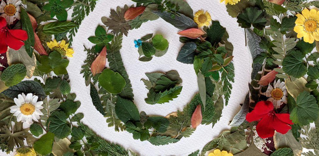 Ecologi: B Corp company