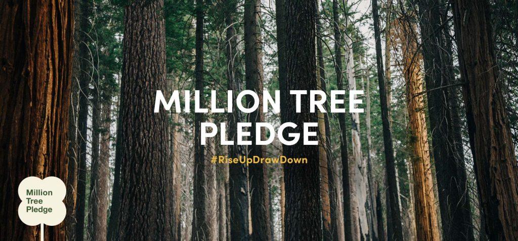 The Million Tree Pledge: an effort to change the world