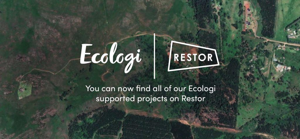 You can now find all our reforestation projects on Restor