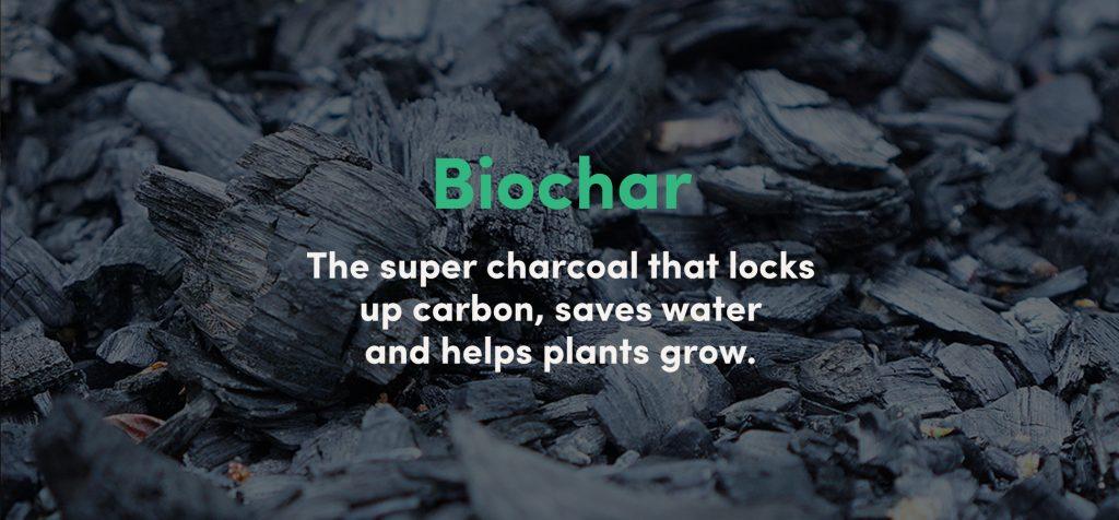 Biochar: Carbon removal credits now on the Impact Shop