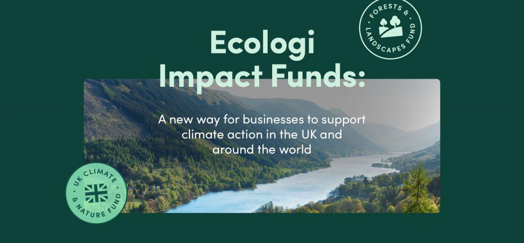 Ecologi Impact Funds: A new way for businesses to support climate action in the UK and around the world