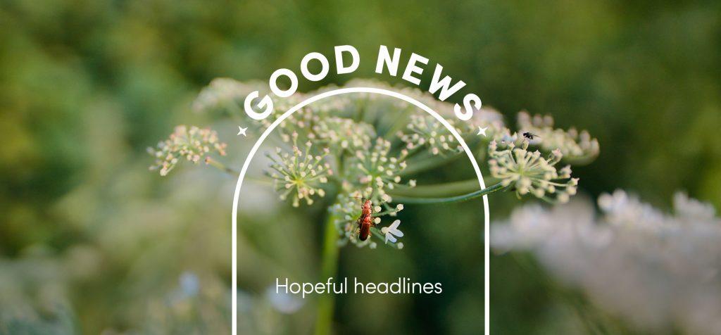 The Good News timeline