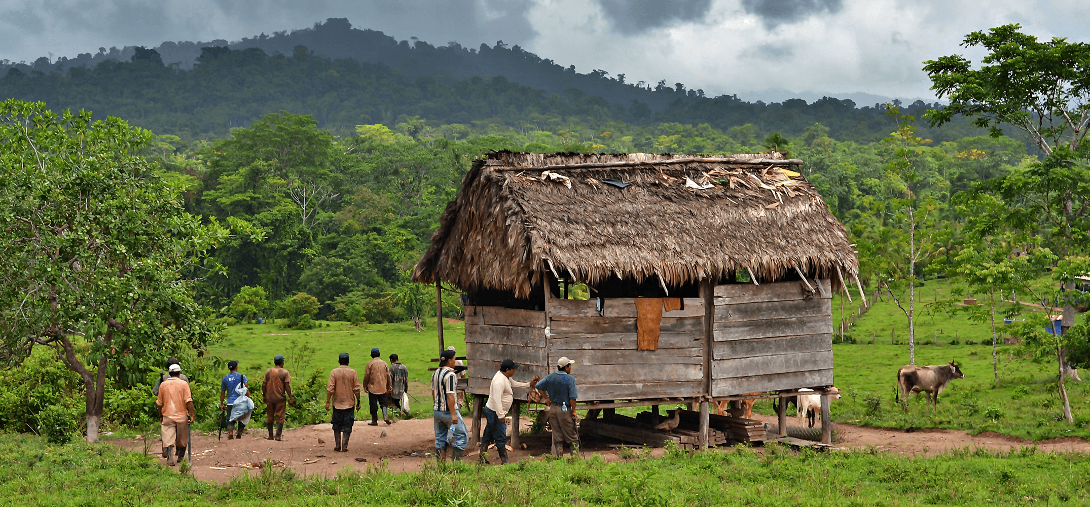 Local tree planters in New planting site in Nicaragua