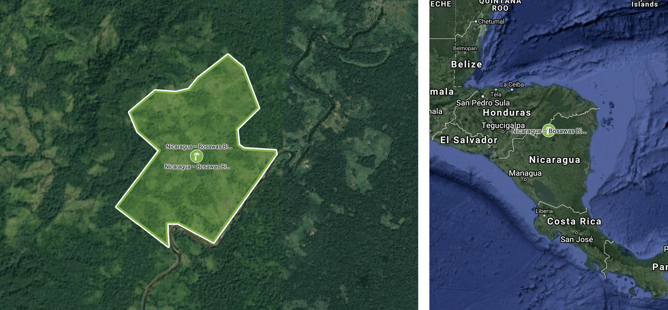 New planting site in Nicaragua