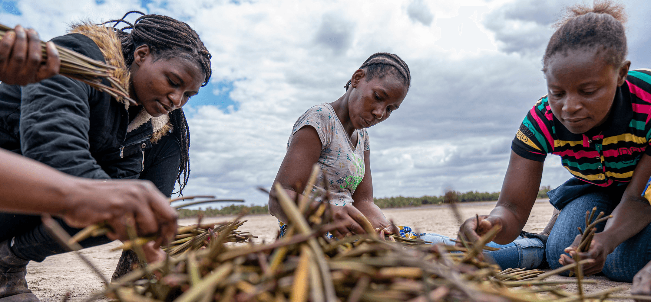 Local planters sorting through the mangrove propagules (seedlings)