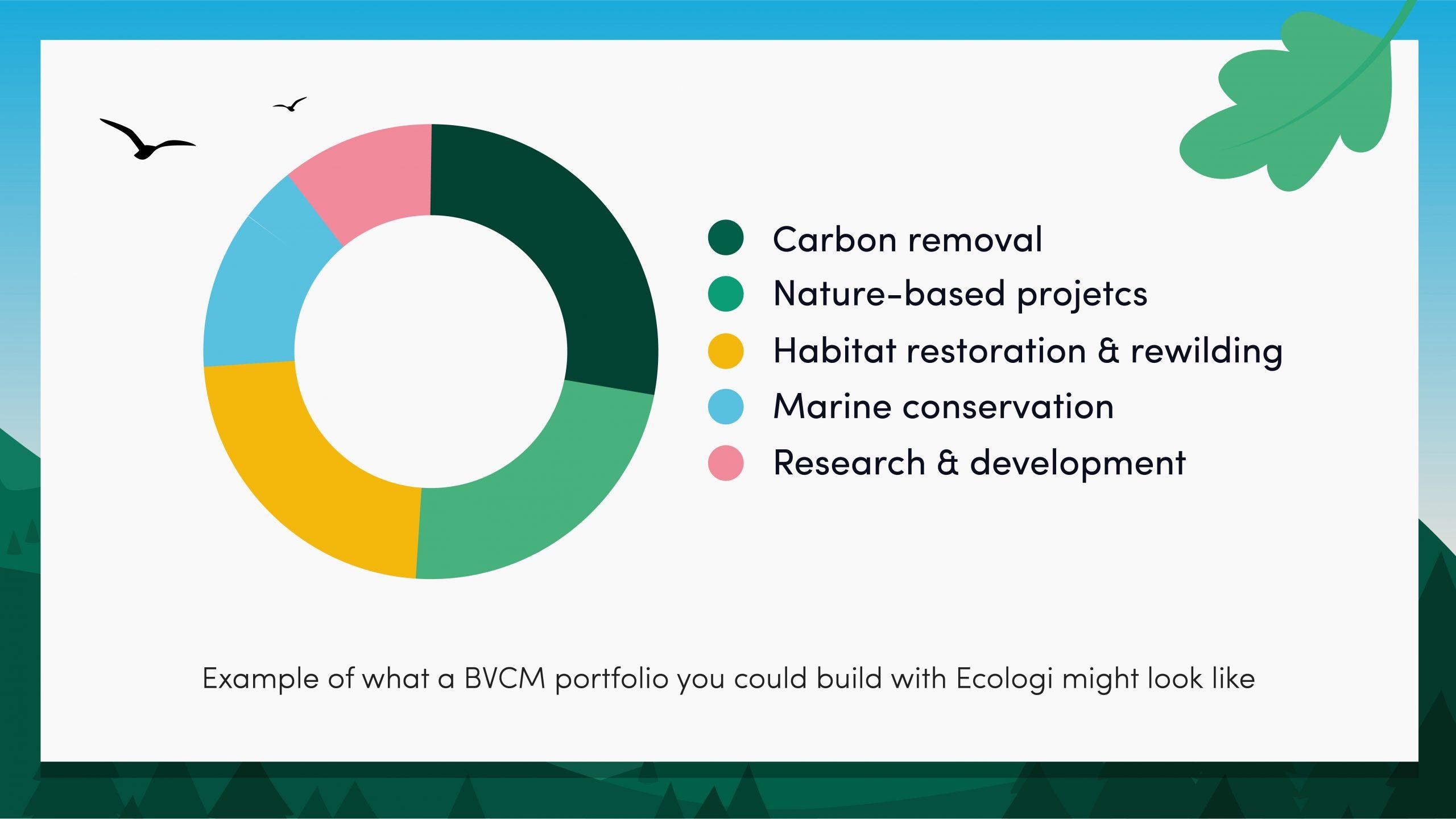 An example of a BVCM portfolio