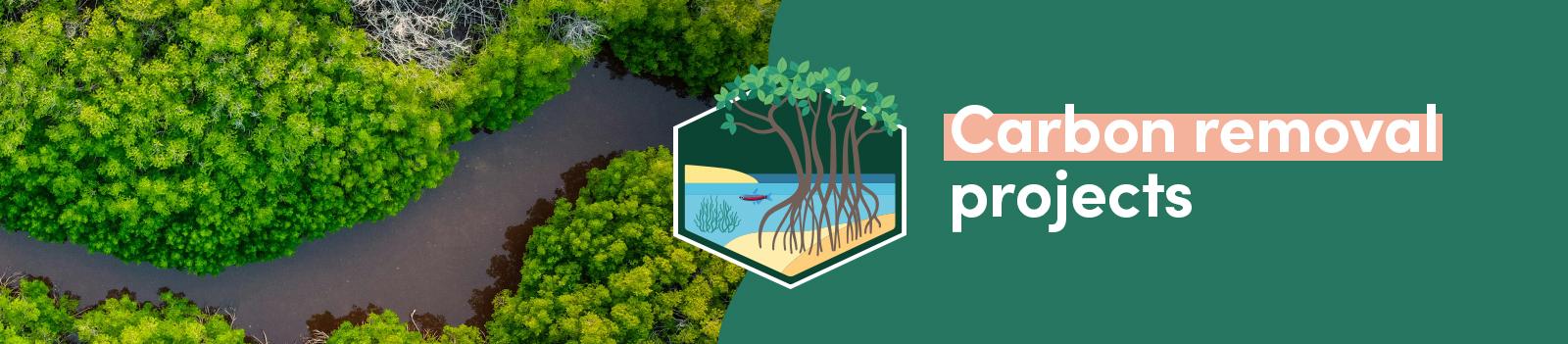 Carbon removal projects