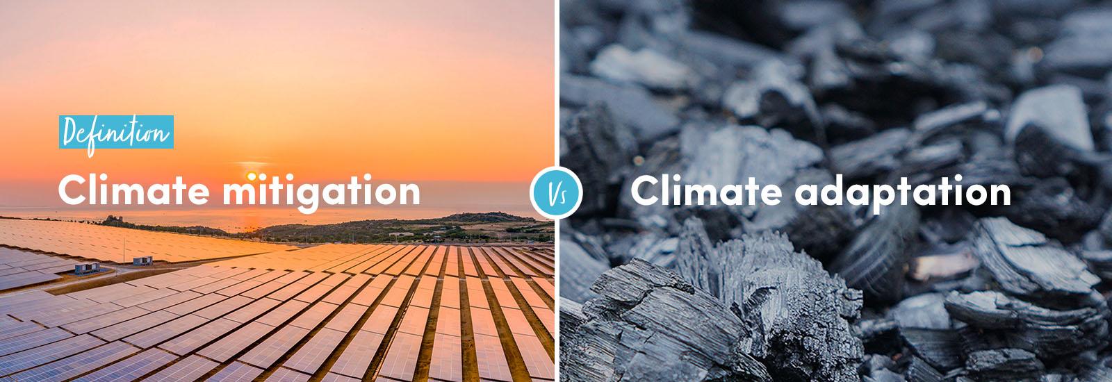 Definition: Climate mitigation vs climate adaptation
