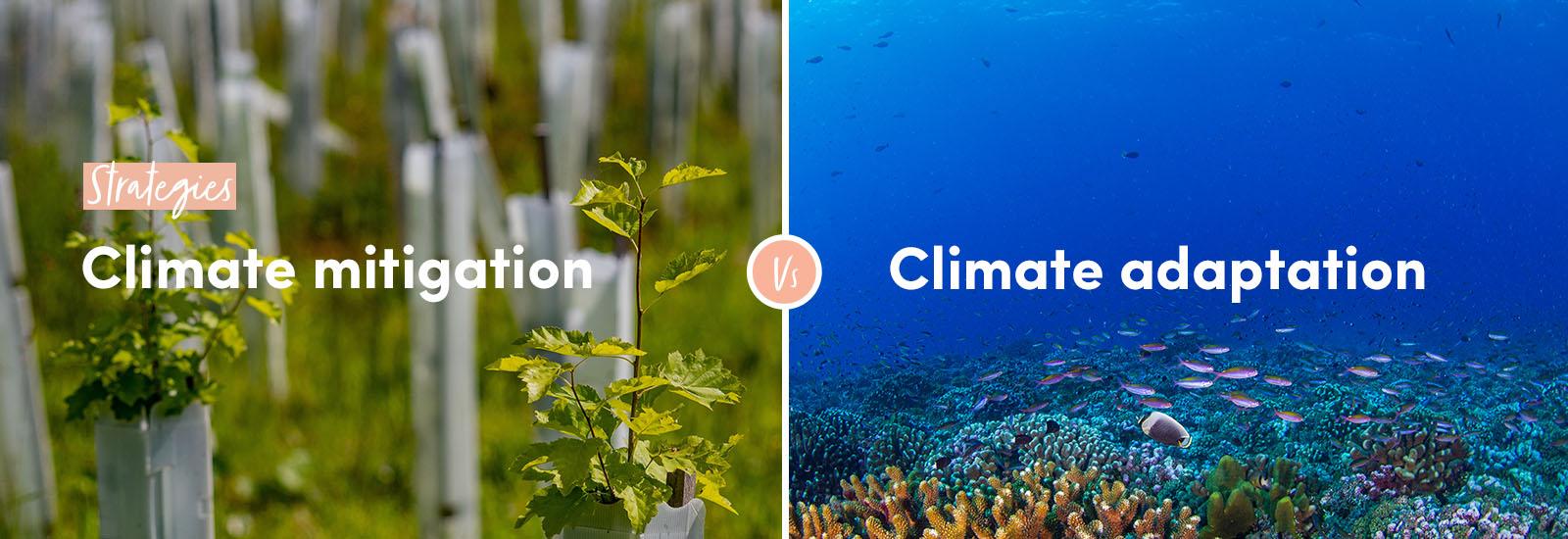 Strategies: Climate mitigation vs Climate adaptation