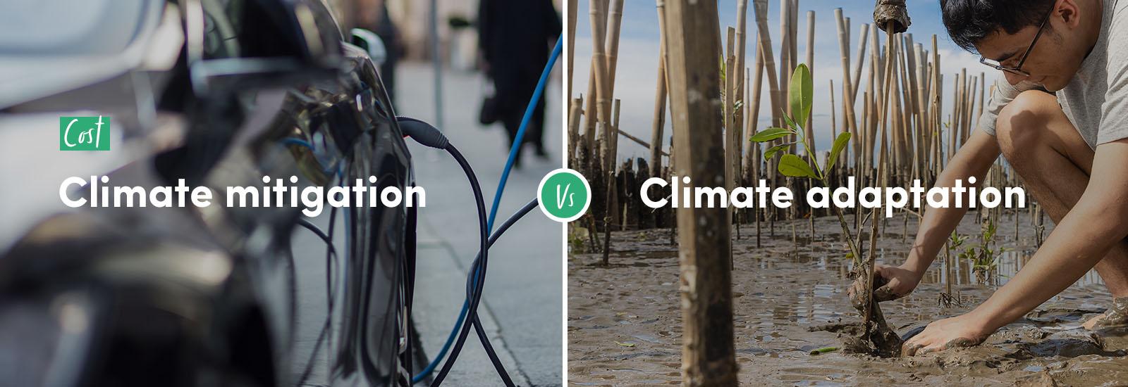 Cost: Climate mitigation vs Climate adaptation