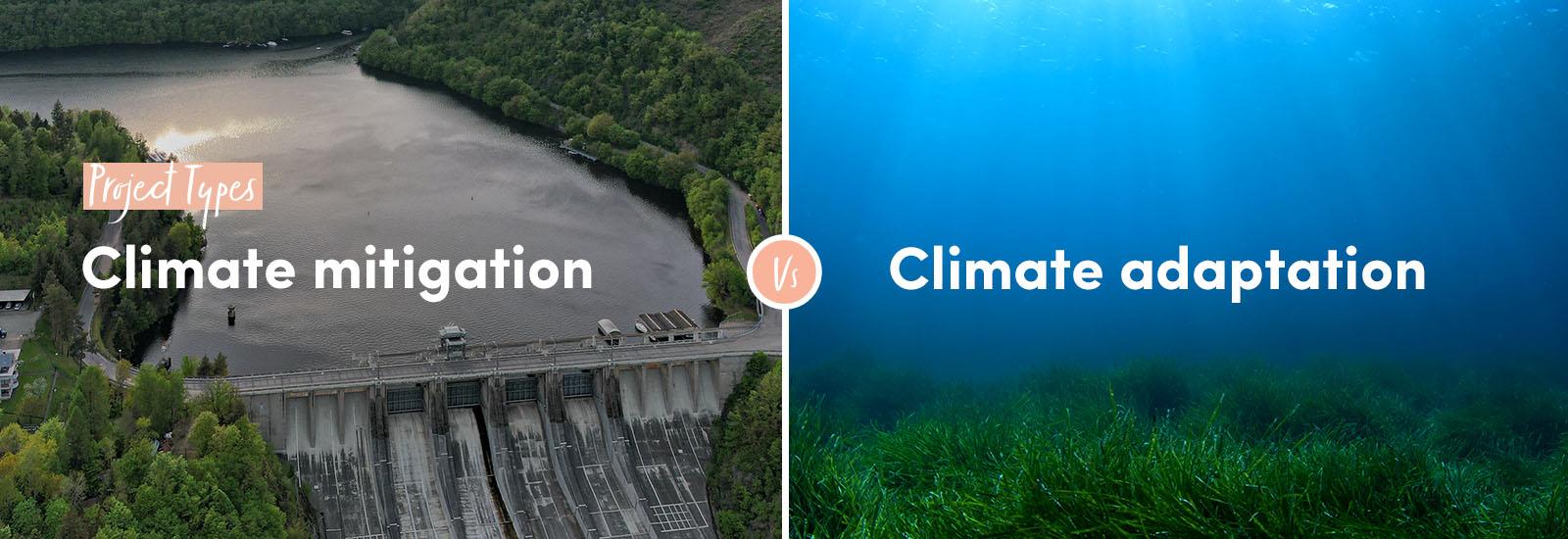 Project types: Climate mitigation vs Climate adaptation