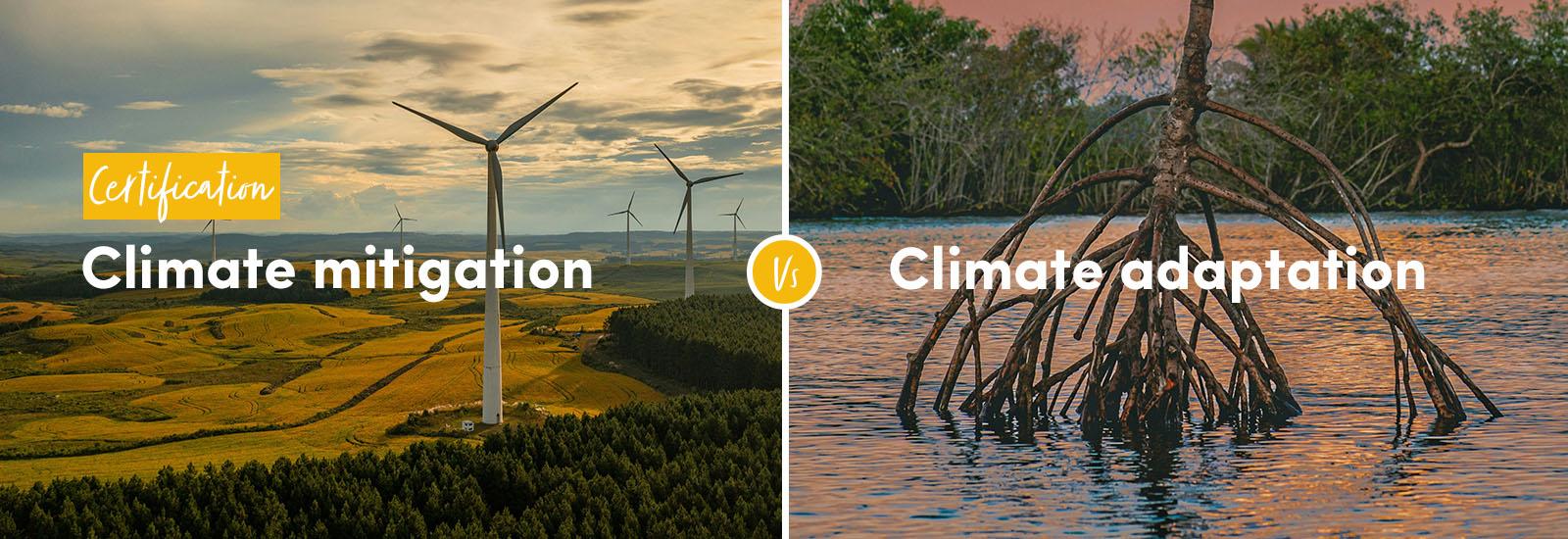 Certification: Climate mitigation vs climate adaptation