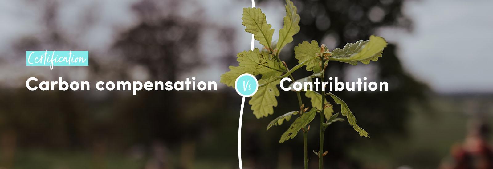 Certification: Carbon compensation vs contribution