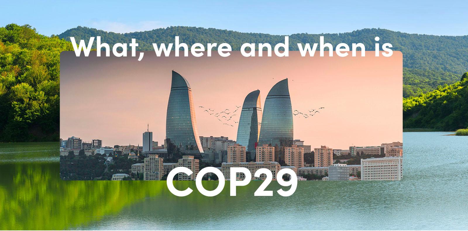 What, where and when is COP29?