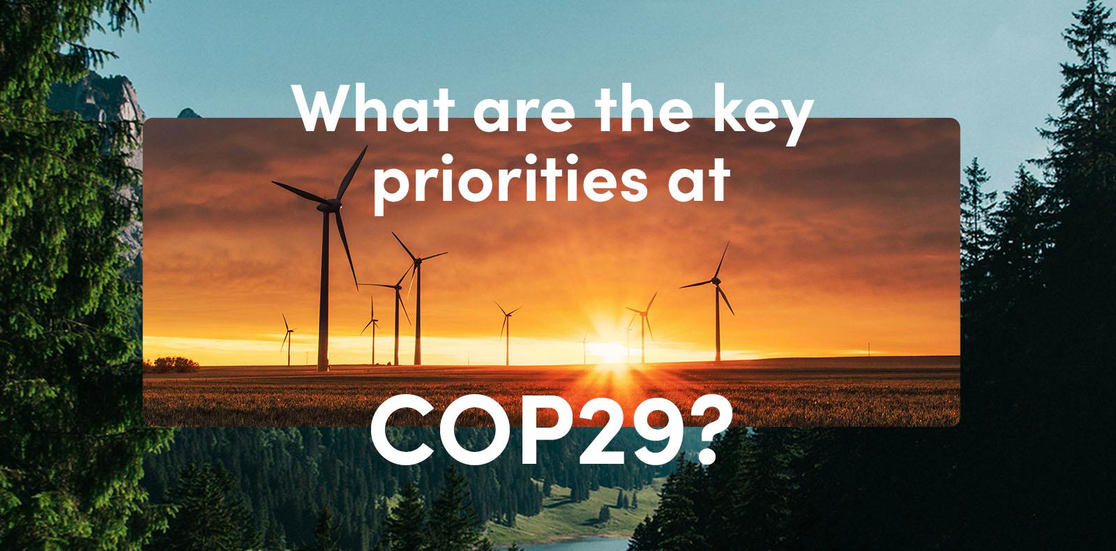 What are the key priorities at COP29?