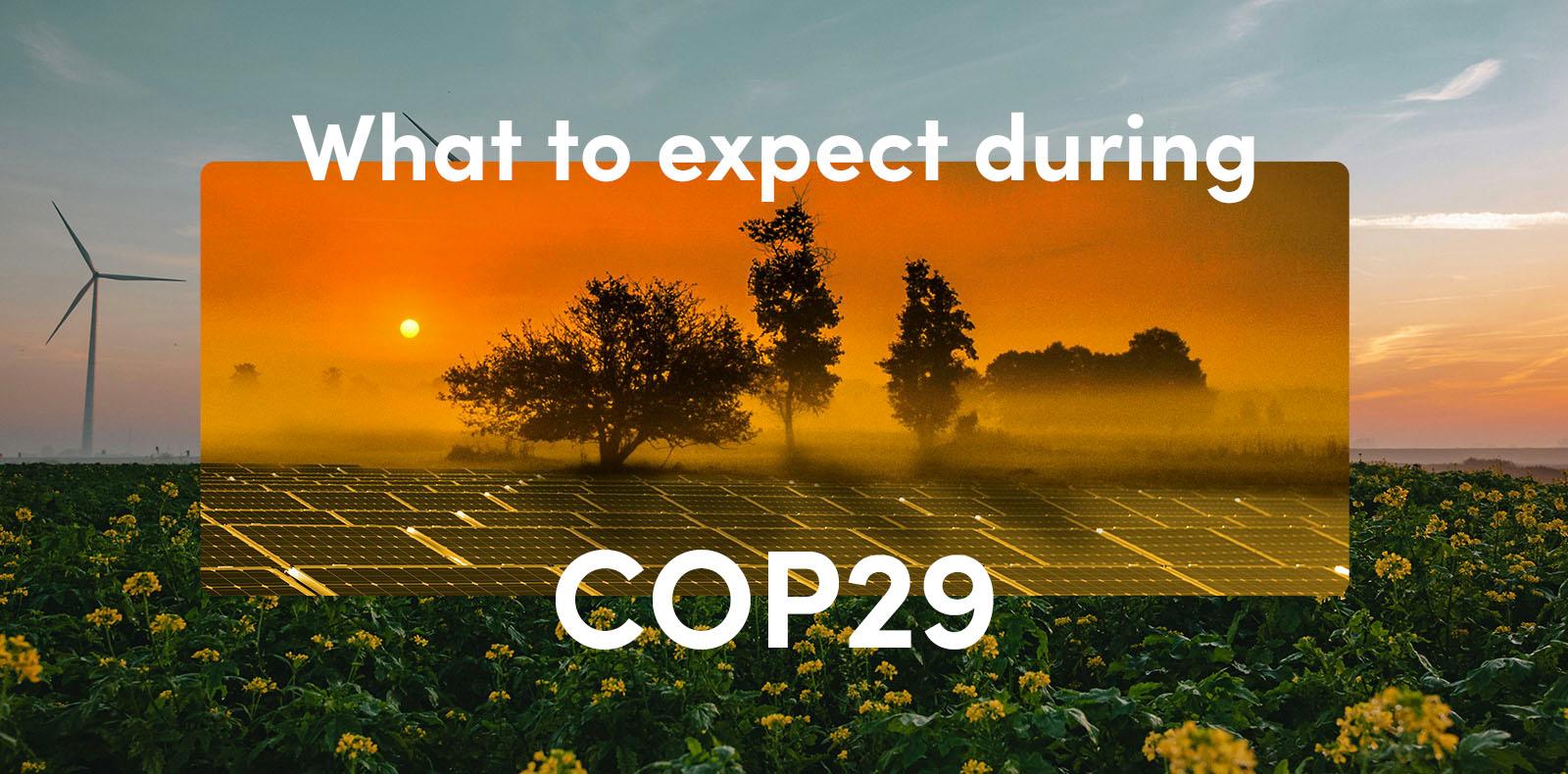What to expect during COP29