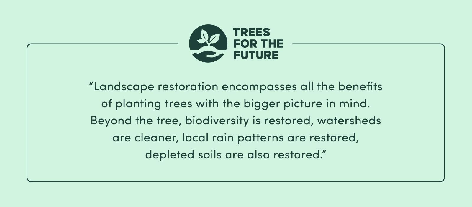 “Landscape restoration encompasses all the benefits of planting trees with the bigger picture in mind. Beyond the tree, biodiversity is restored, watersheds are cleaner, local rain patterns are restored, depleted soils are also restored.” - Trees for the Future
